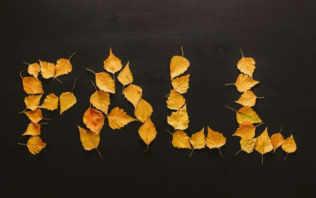Fall Break